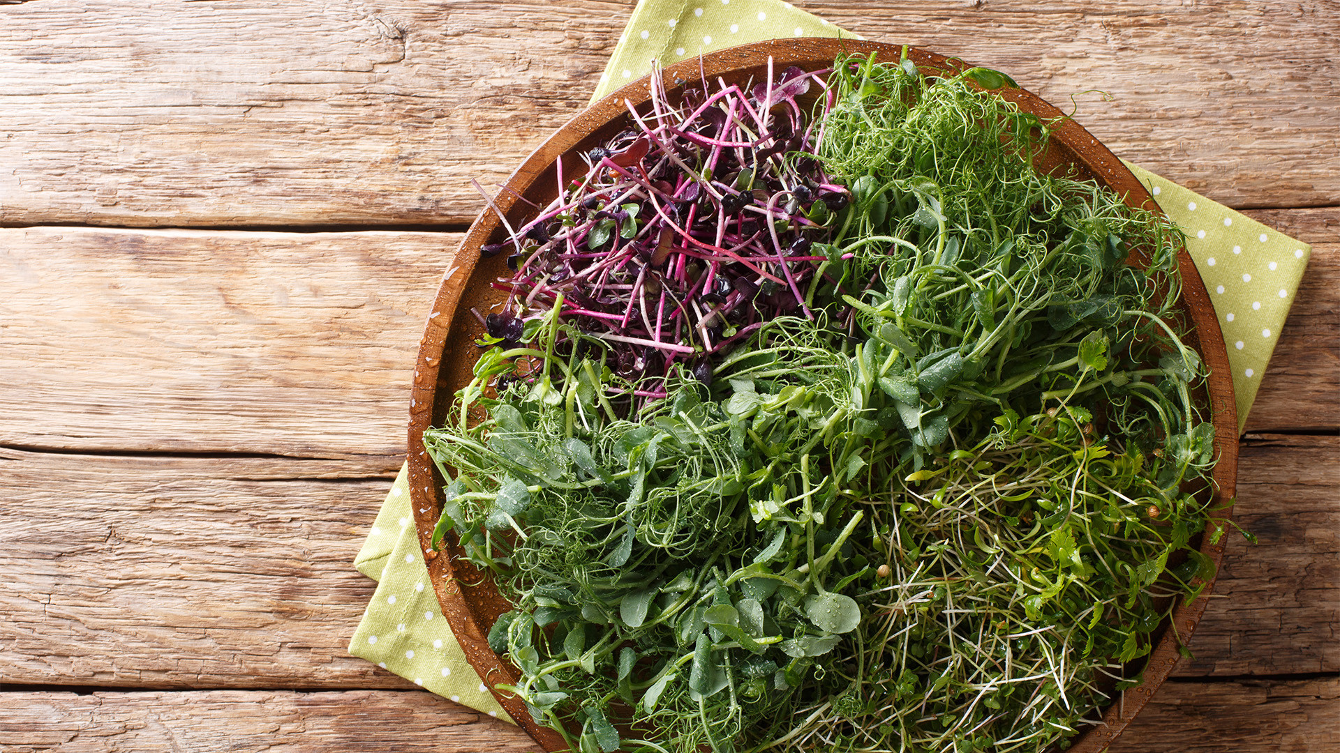 The Power of Microgreens: Nutrient-Dense Local Superfoods